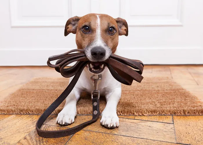 Gustav By Schladming-appartements